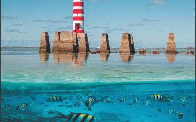 Smart Gov ANCITI 2026: Maceió abre o calendário nacional de inovação pública